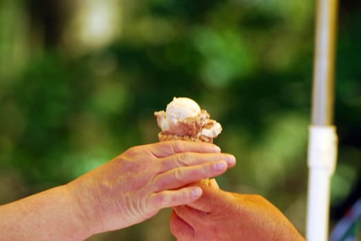 ice or ice winter or ice cream or ice arctic or ice antactica