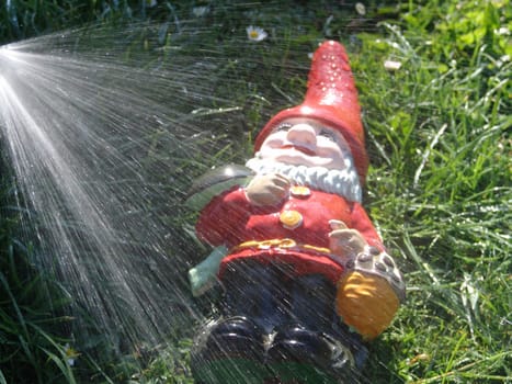 Dwarf Wash