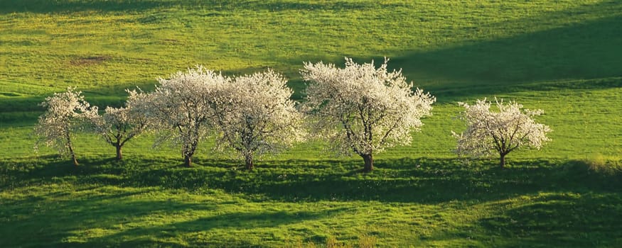 Today is only once and never again.... that's why we should really enjoy spring....!:-)