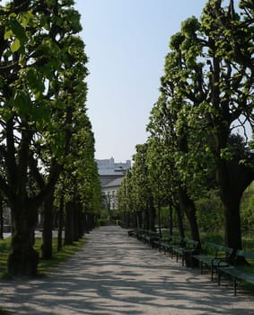 Avenue