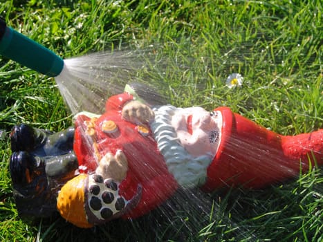 Dwarf Wash