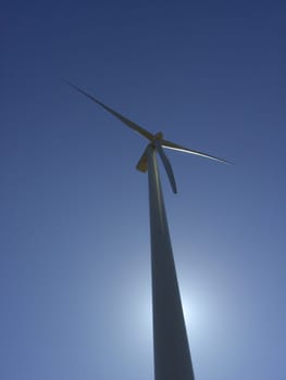 Wind turbine 11