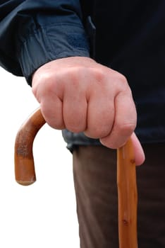 Walking stick