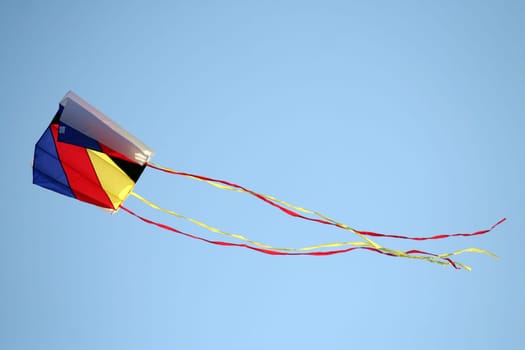 Kite