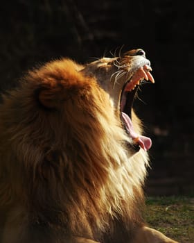 That's pretty much how I feel today....!:-)