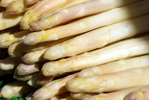 Asparagus2