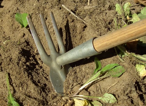 Gardening 02