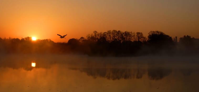 This morning at a quarry pond in Bresse in France
