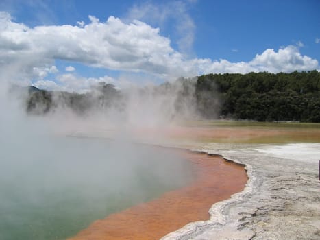 Champagne Pool