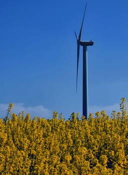 Alternative energies