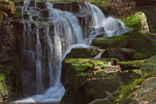 Pure nature