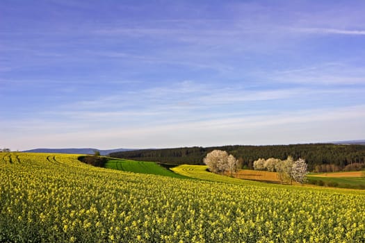 in the countryside