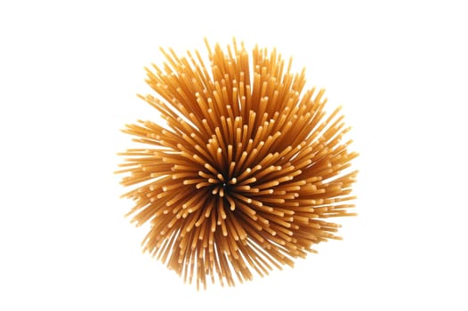 Spaghetti as a spiral