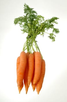 A bunch of carrots
