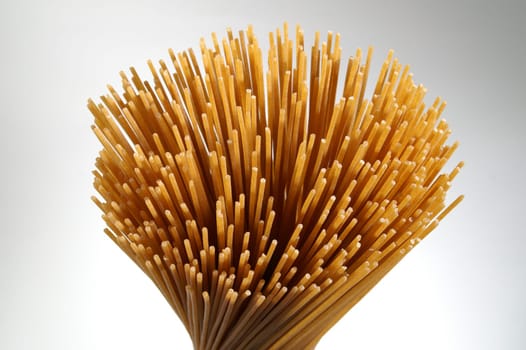 Spaghetti,structure