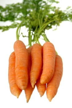 A bunch of carrots