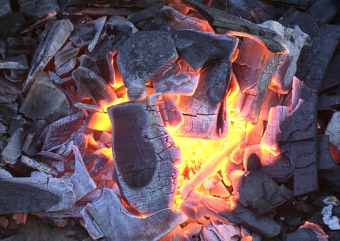 Charcoal 3