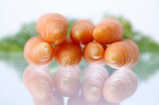 Carrots with reflection