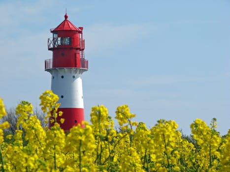 Lighthouse in rapeseed