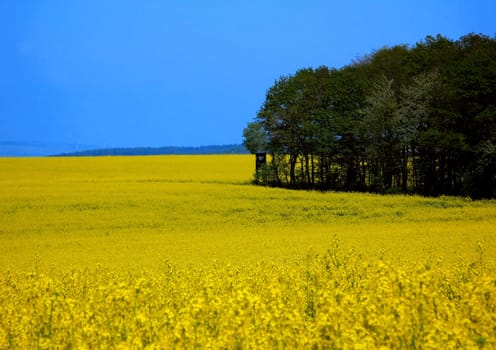 April colors