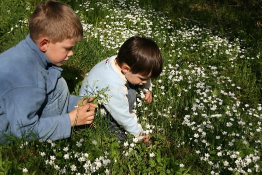 Flowers for mom