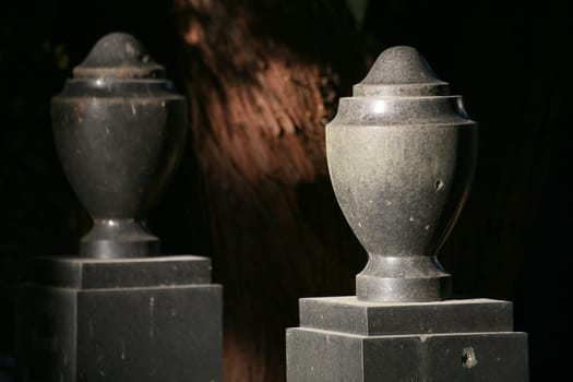 In an old cemetery