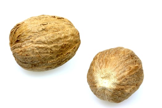 Muskat