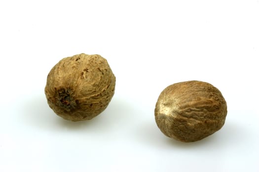 Muskat