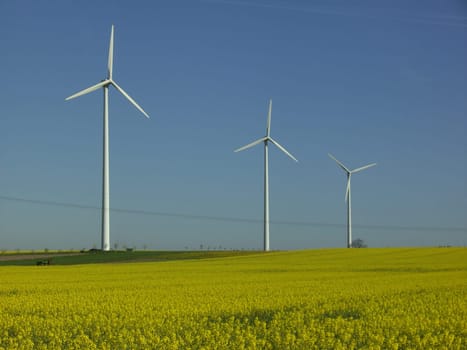 Wind turbine 19