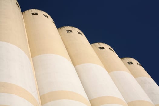 Silo building