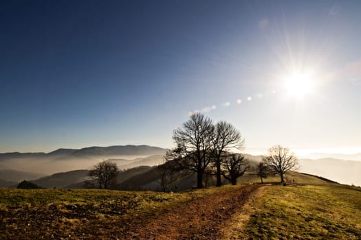Black Forest Germany