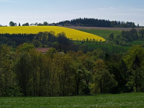 Spring Landscape 4