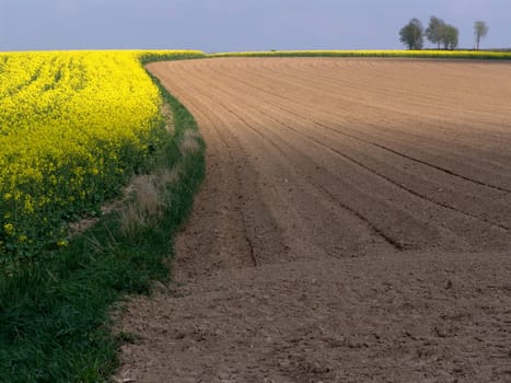 Fields