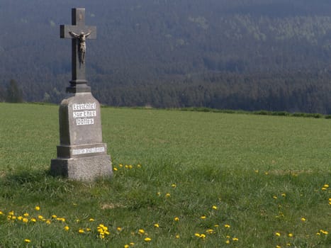 Field Cross