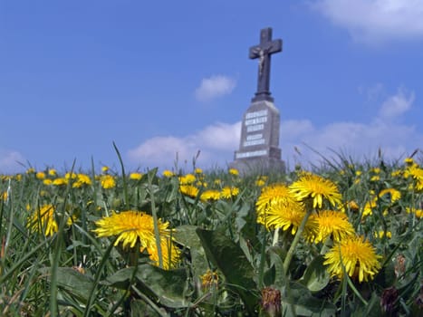 Field Cross