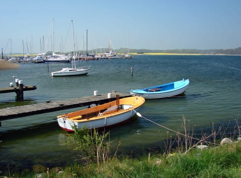 Maasholm