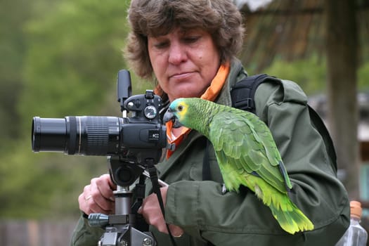 My (photo) friend Antje (digitier) trying to photograph a blue-fronted amazon. But he liked it much better behind the camera than in front of him :-)