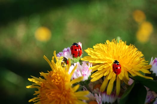 Spring greetings