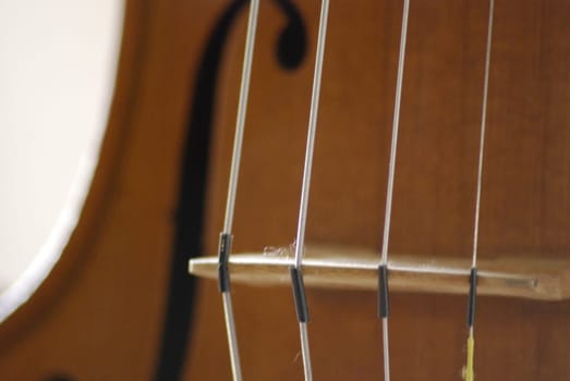 Detail of a violin