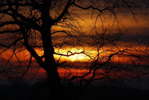 sunset or (sunset beach) or (sunset nature) or (sunset skyline)