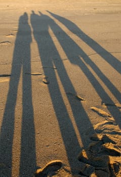 Shade on the beach