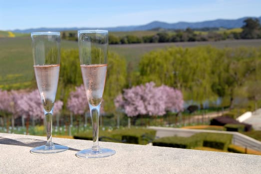 Sparkling wine rosé