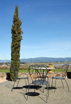 Views of the Napa Valley