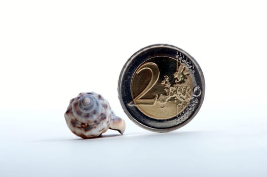 A shell and a shiny 2 euro coin as symbolism for holiday pay / holiday fund released in the studio. Backlight optical illusion of the inclined plane