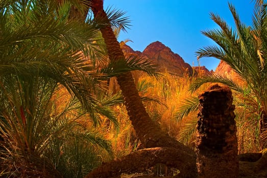 Secrets of Oasis 2