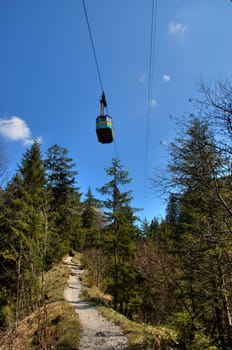Trail