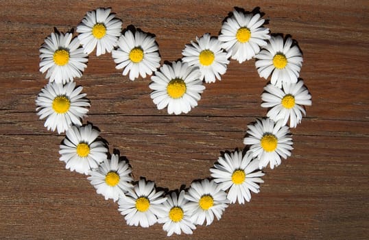 Heart of flowers