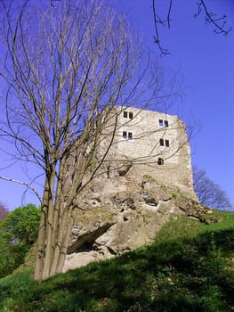 Castle ruins near Bad Liebenstein