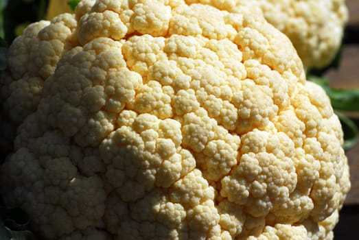 Cauliflower head