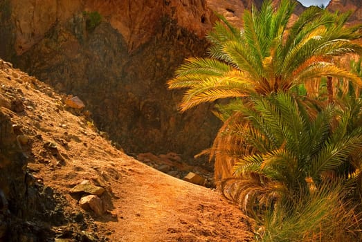 Secrets of Oasis 3